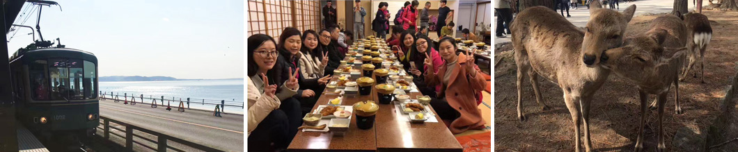 邁德年度優秀旅游